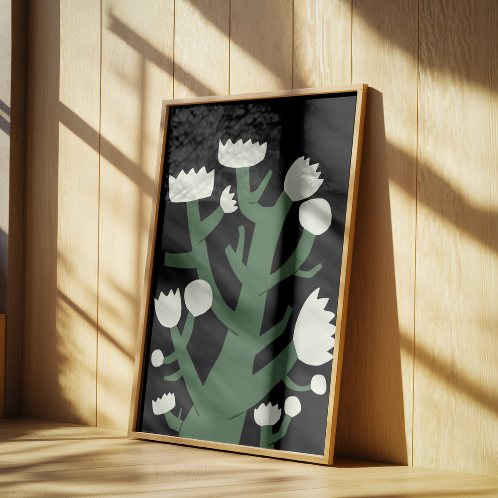 Nächtliche weiße Blüte | Poster
