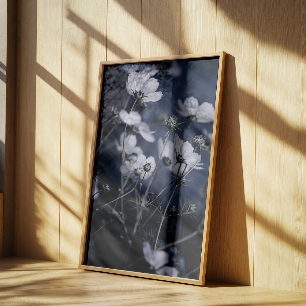 Wildblumen 10 | Poster