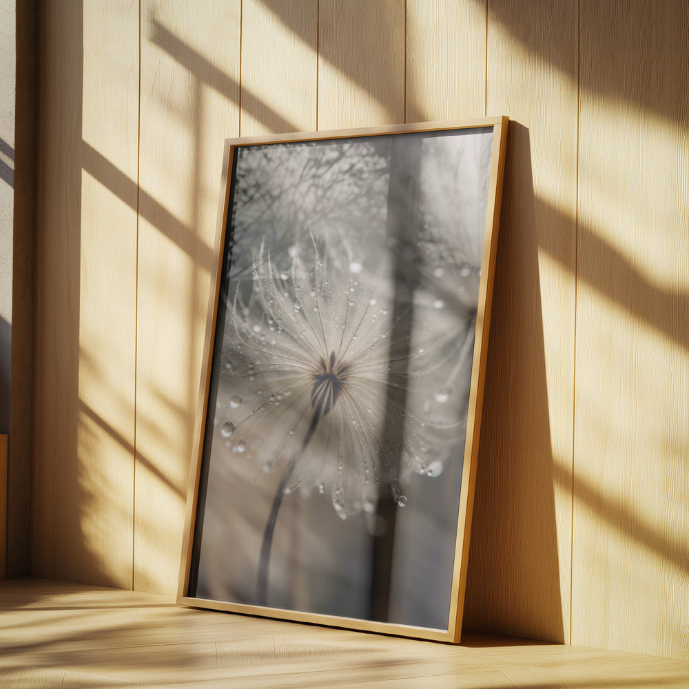 Dewy Whisper | Poster