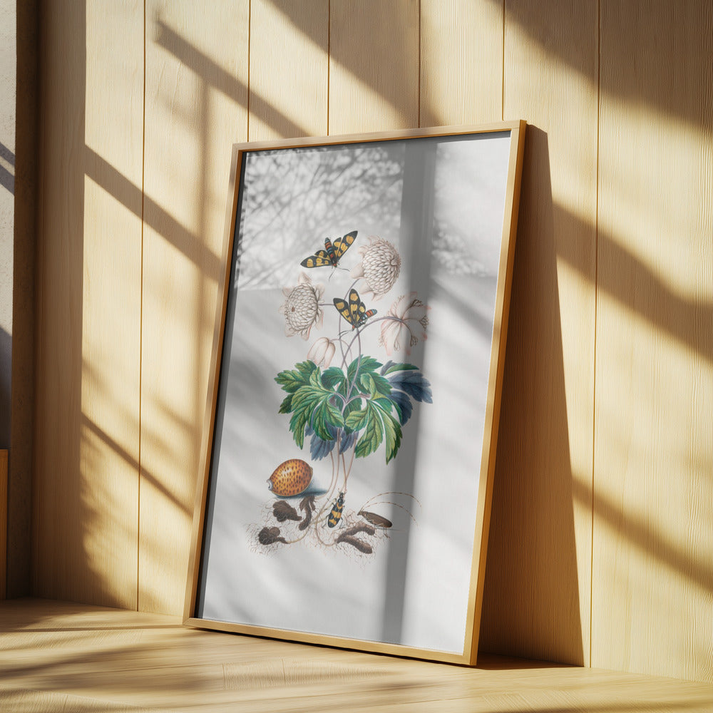 Double flower cultivar | Poster