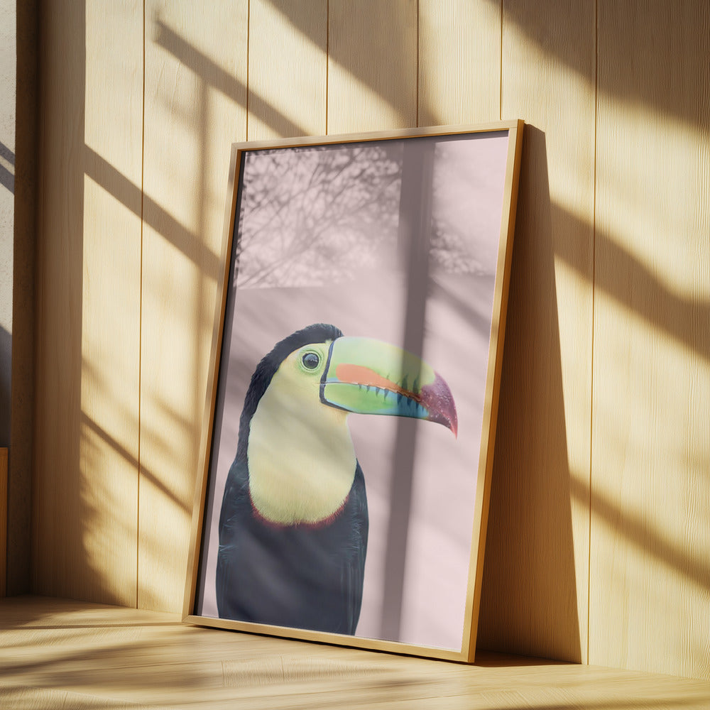Toucan on Pink | Poster