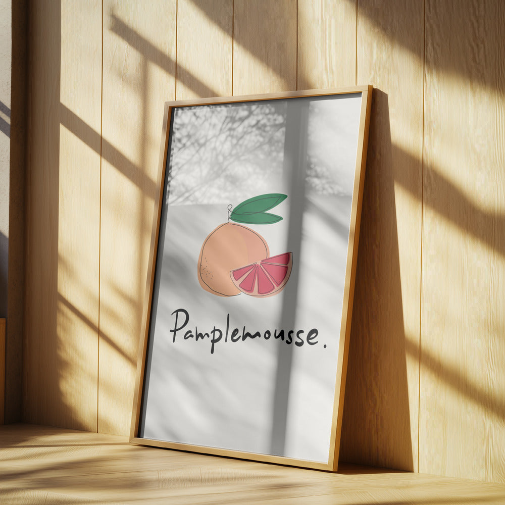 Moderne französische Obstkollektion "Grapefruit / Pamplemousse" | Poster
