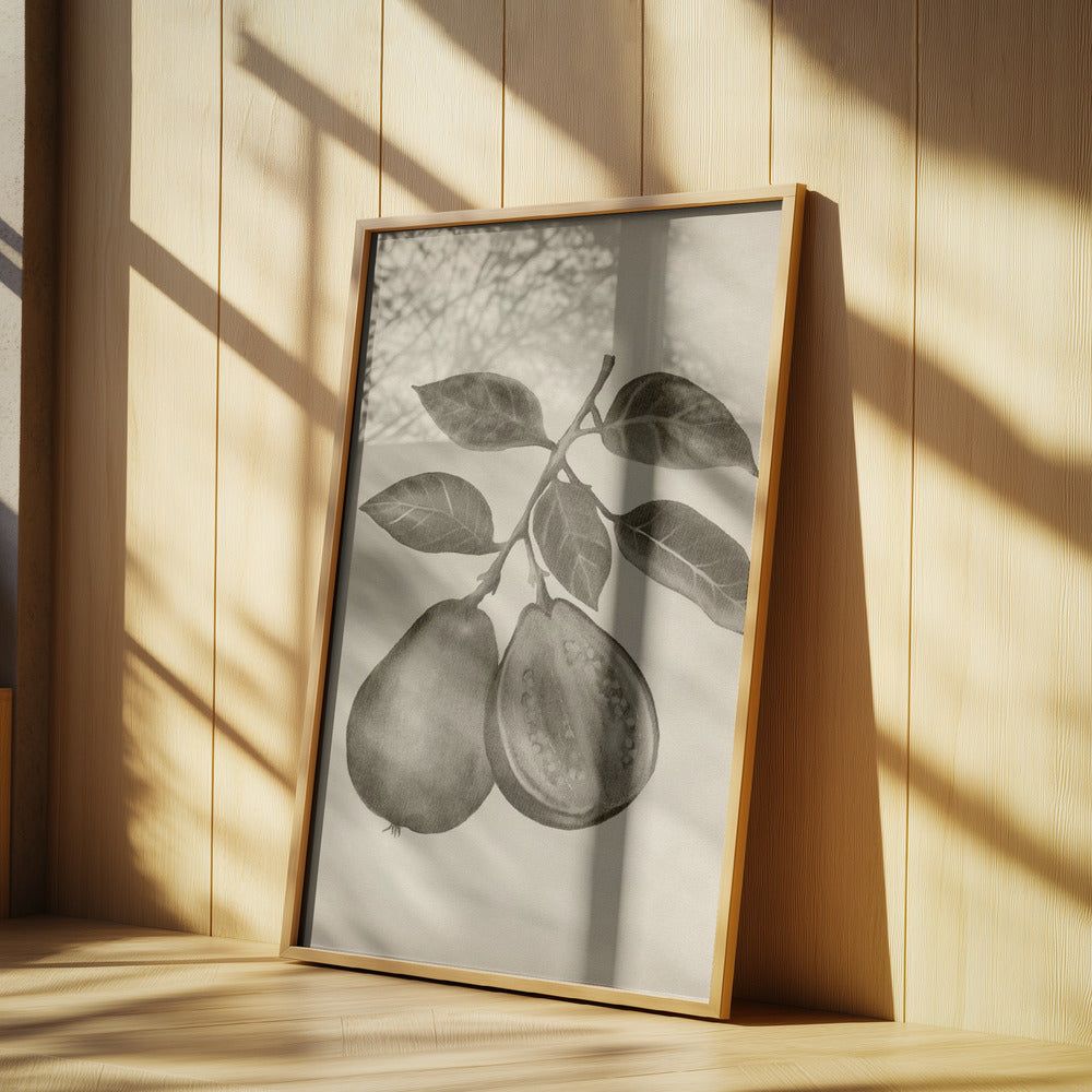 Vintage-Obst | Poster