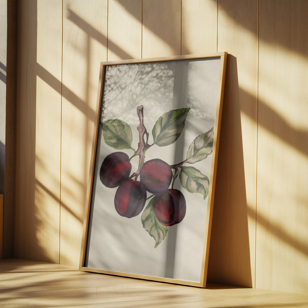 Vintage-Obstkollektion | Poster - Kunstdruck