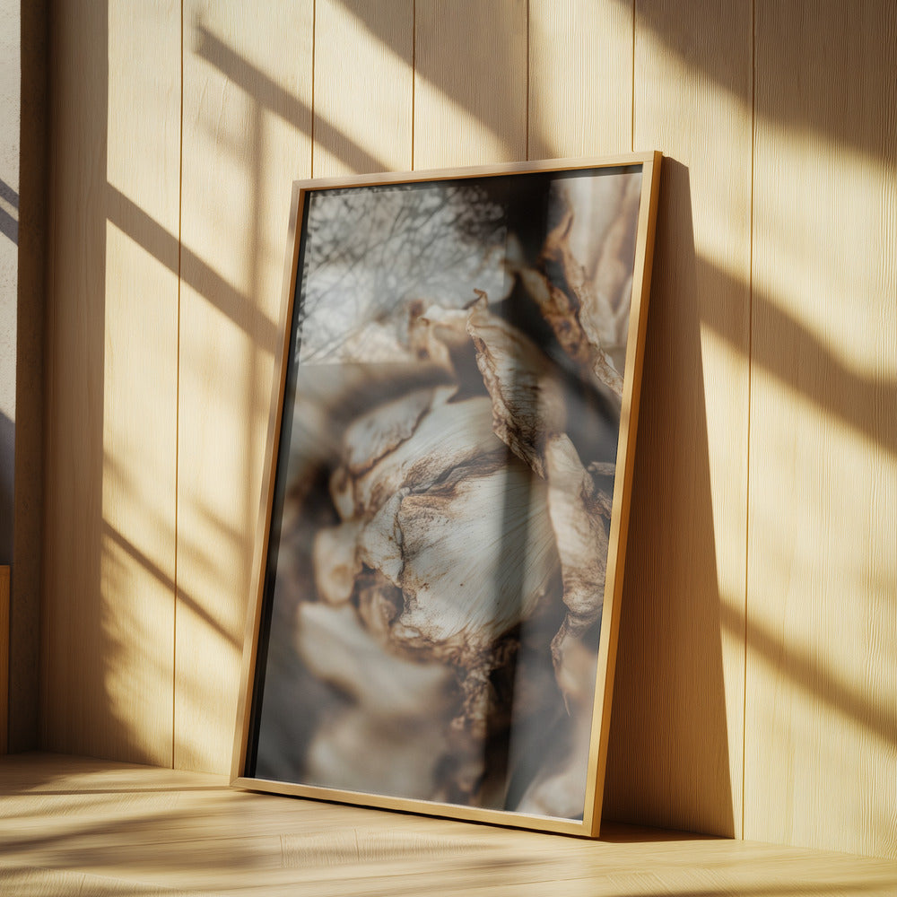 Flüsternde Blütenblätter | Poster