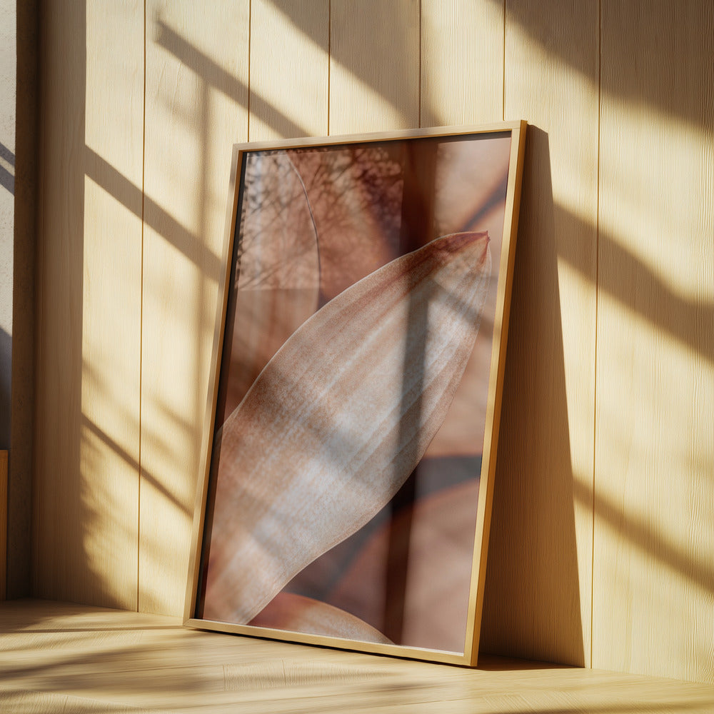 Bernsteinfarbene Blütenblatt-Eleganz | Poster