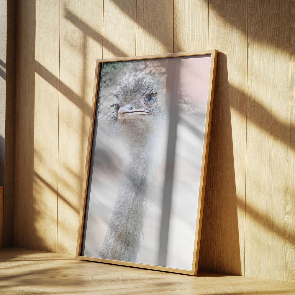 natural beauty | Poster
