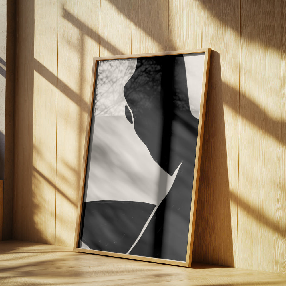 Shadowed Contours | Poster