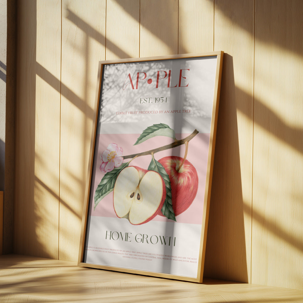 Geerntete Äpfel | Poster