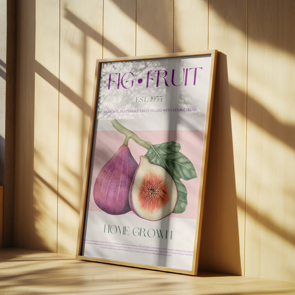 Vintage Feigengenuss | Poster
