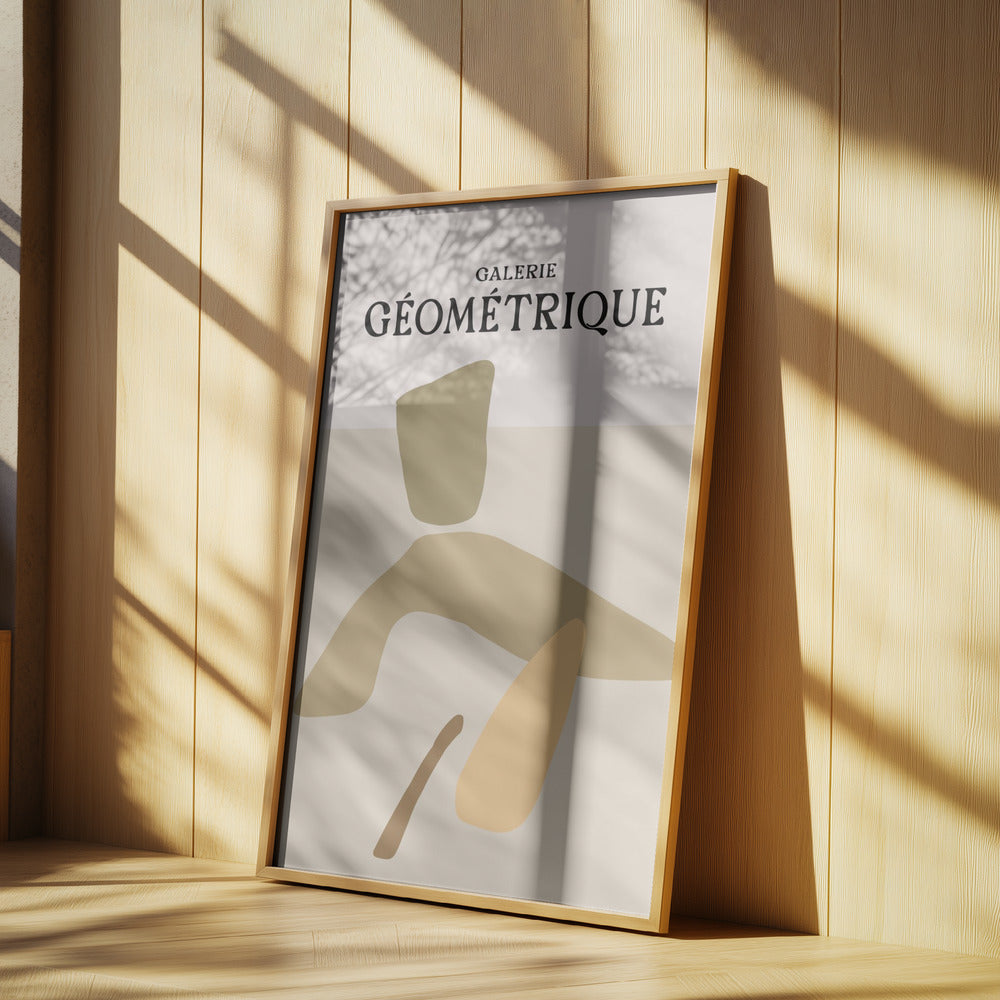 Shapes of Serenity | Poster
