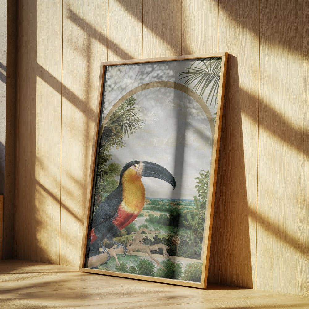 Tukan auf einem Ast | Poster