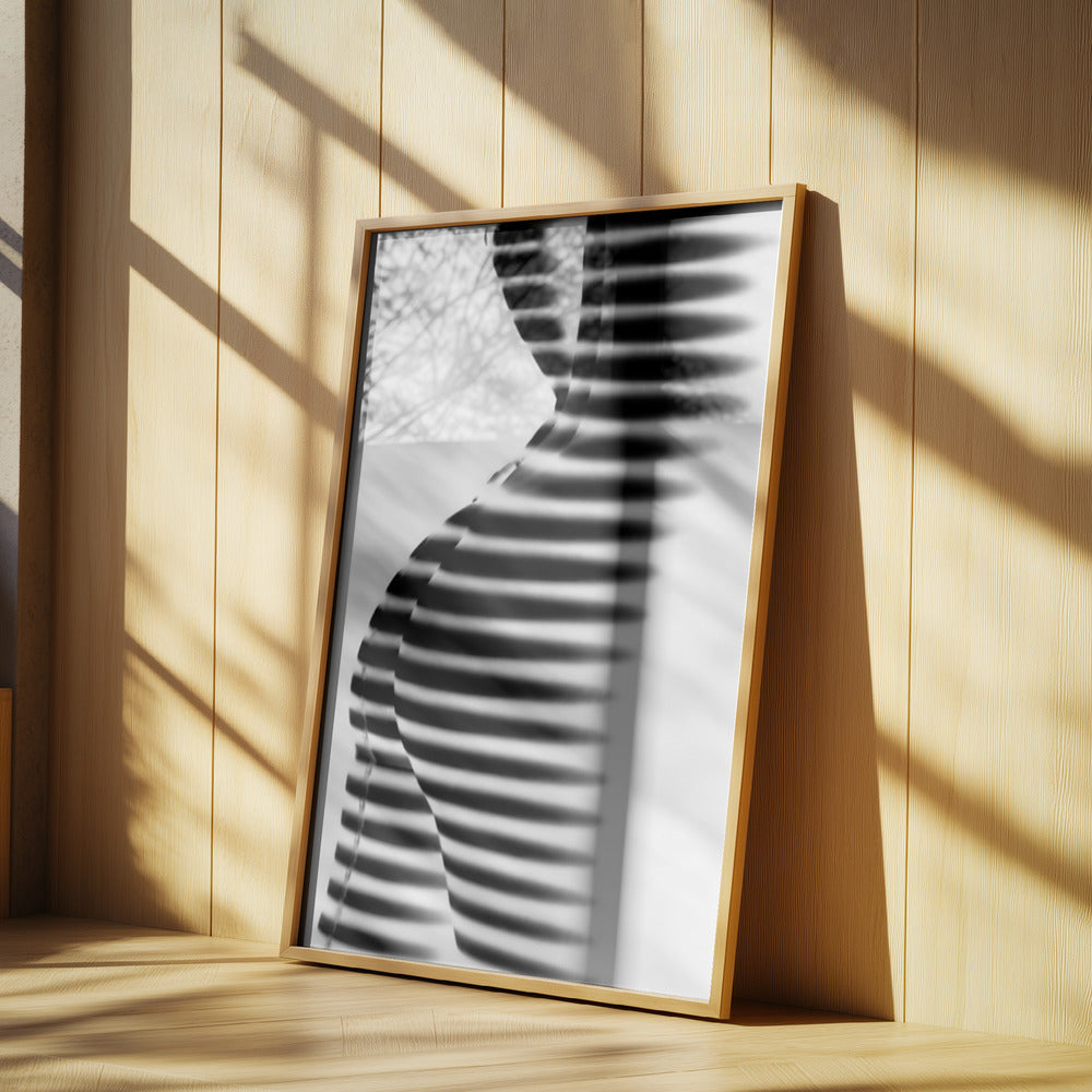 Zebra | Poster