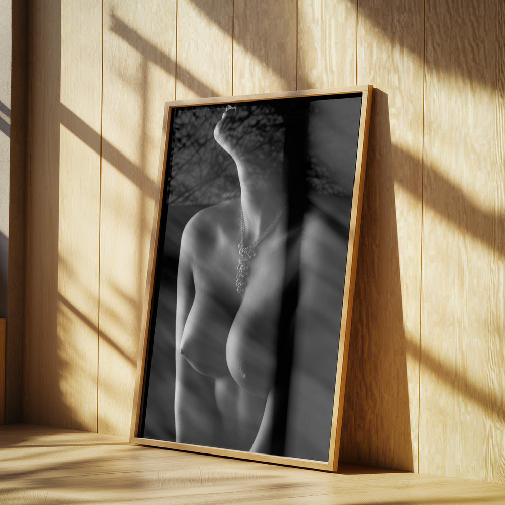 Nackte Kurven | Poster