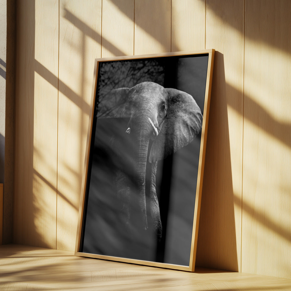 Elephant! | Poster