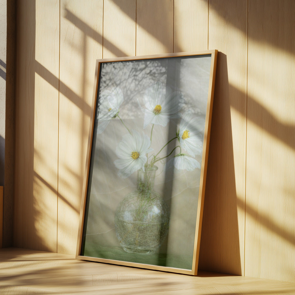 Kosmosbrise | Poster - Kunstdruck
