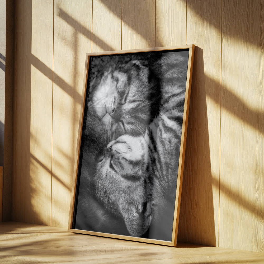 Yin and Yang | Poster