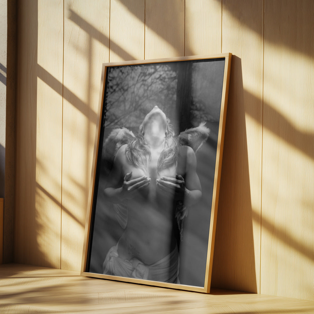 Fallen angel | Poster