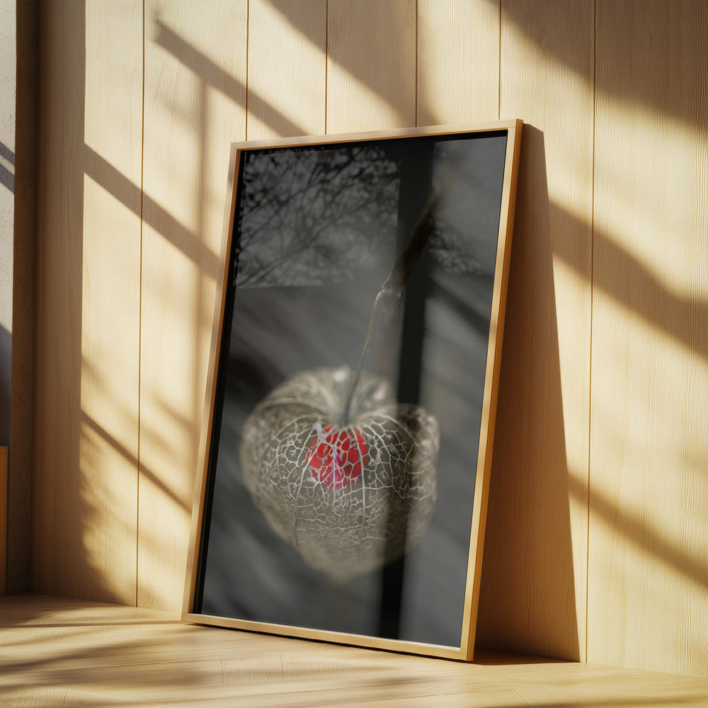 Amor en jaula | Posters - Impresiones de Arte