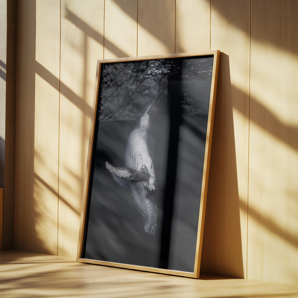 Black Whale | Poster