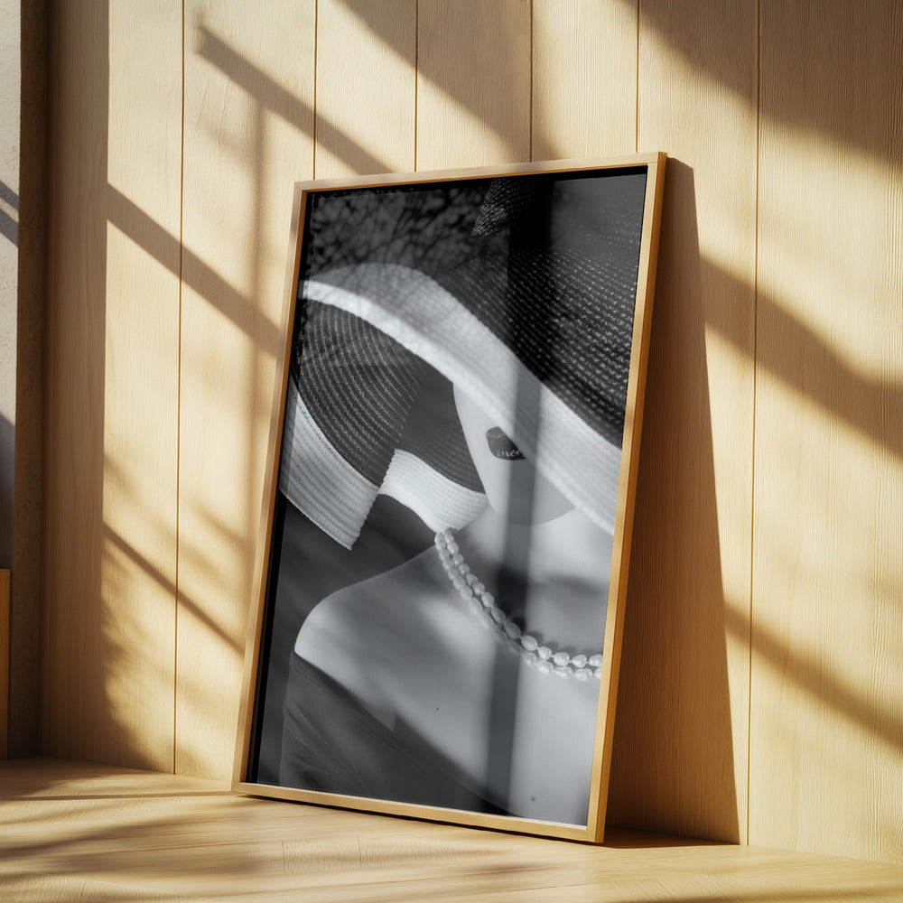 Elegance in Shadow | Poster