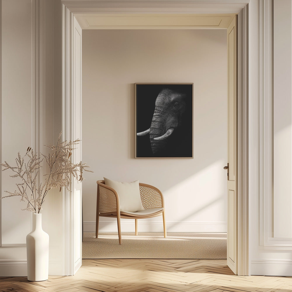 Portrait | Poster