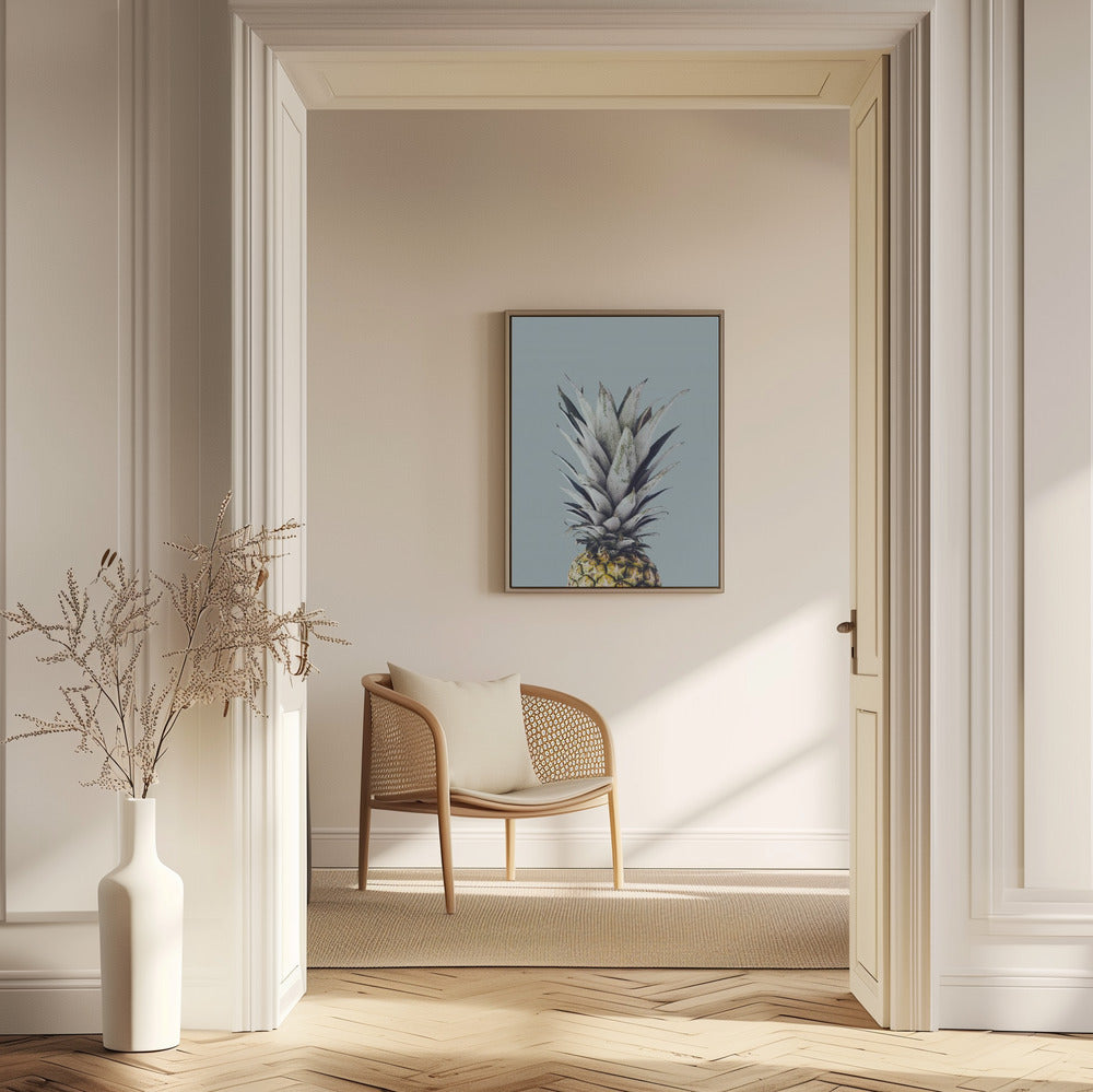 Ananas 1 | Poster