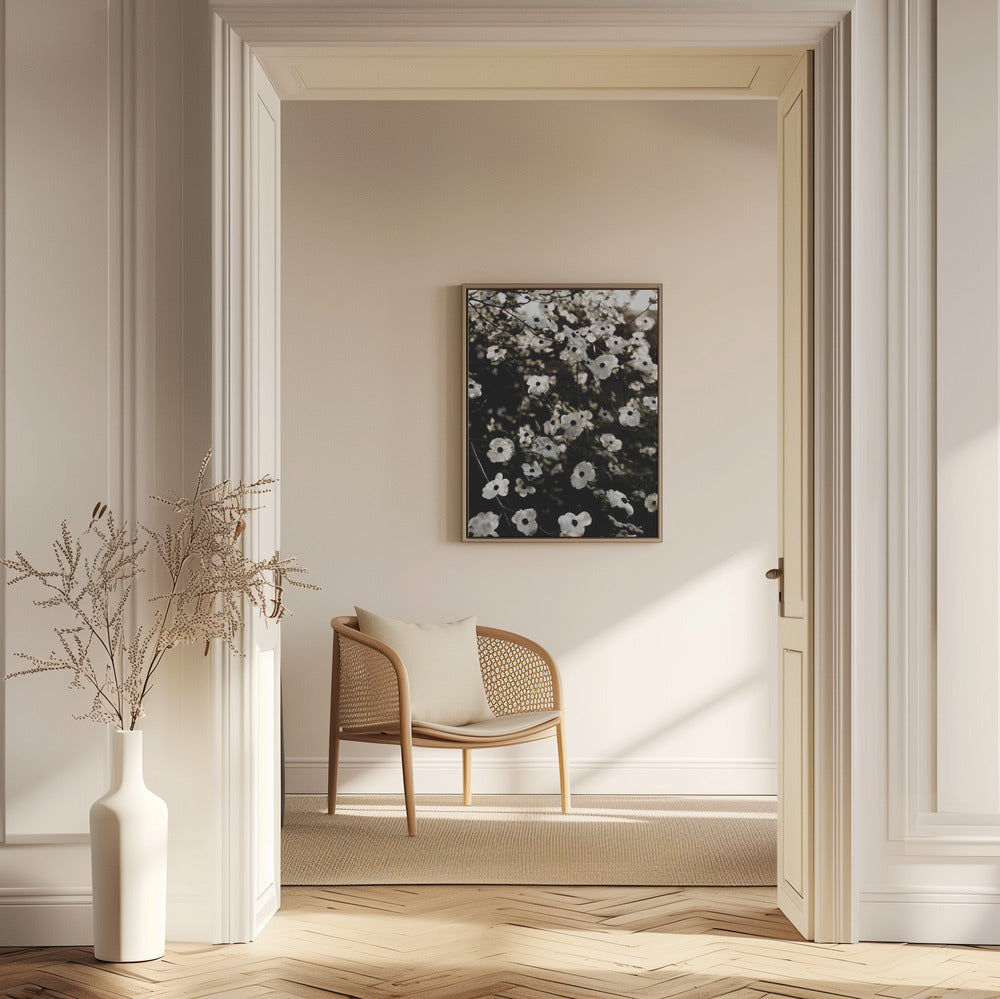 White Spring Tree 5 | Poster