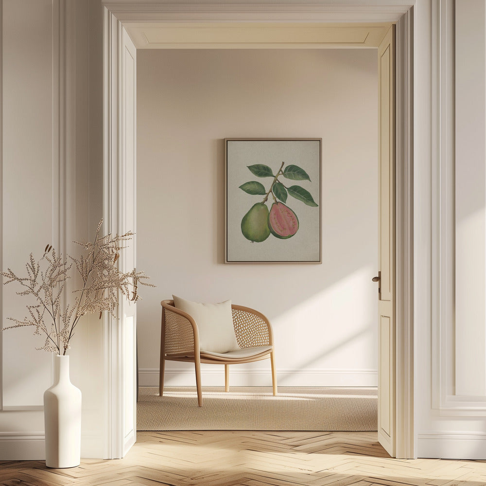 Vintage Guave | Poster