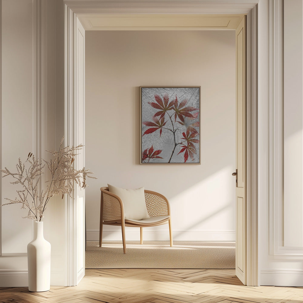 red maple | Poster