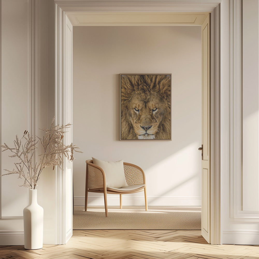 Serious Lion | Poster