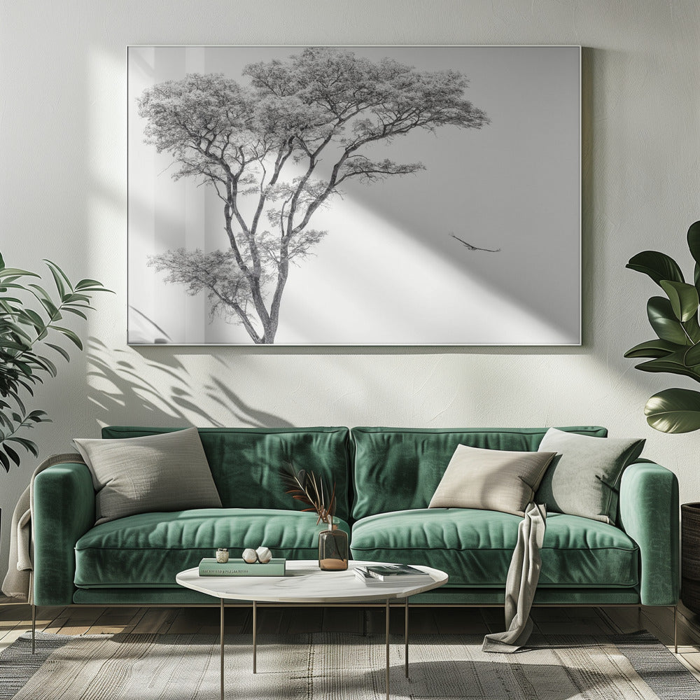 l'aquila africana | Stampe su Tela