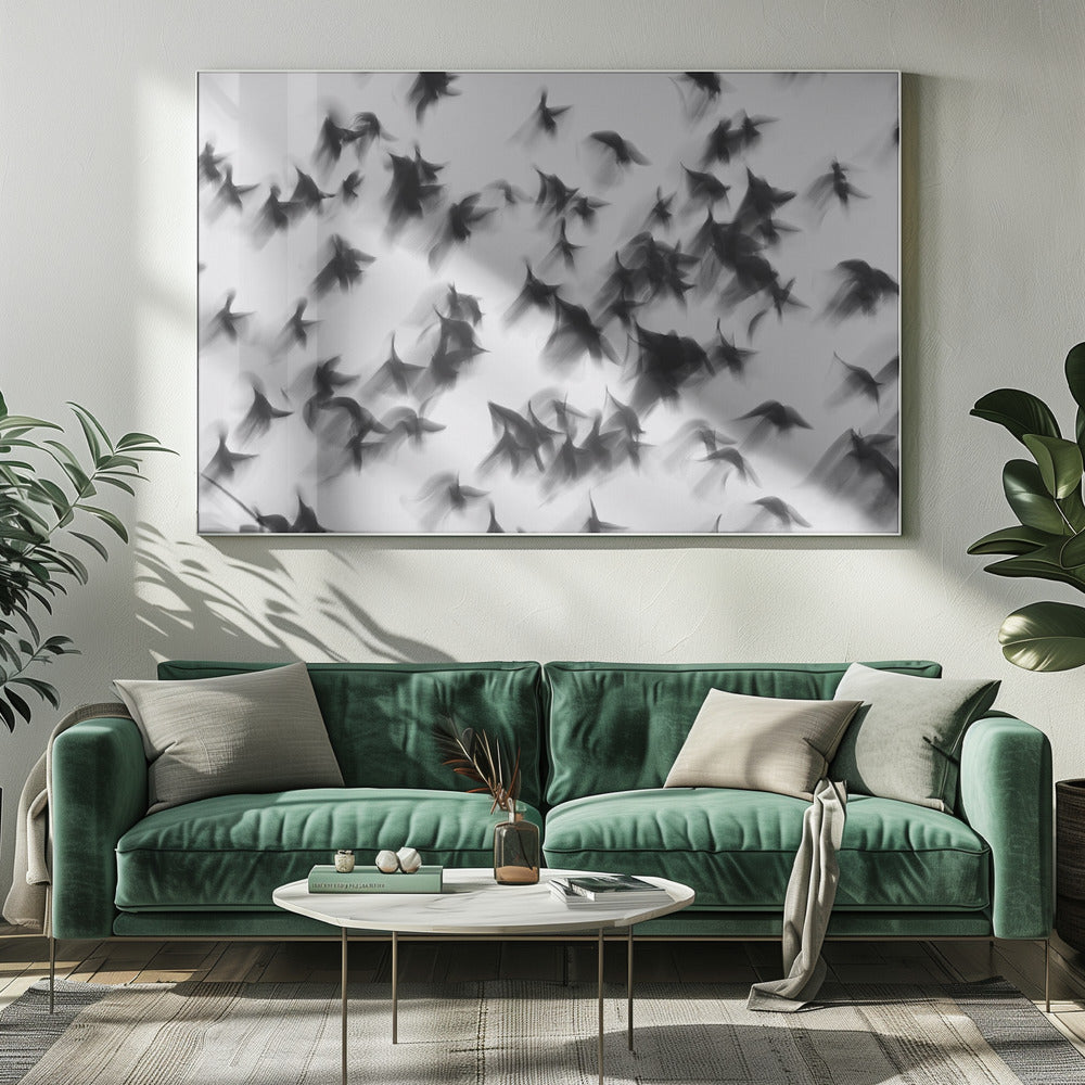 Oiseaux | Tableaux sur Toile