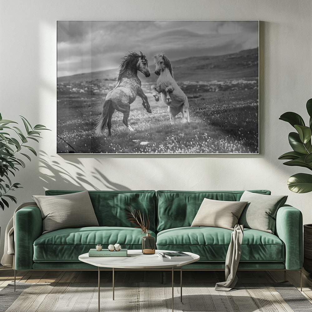 Selvaggio e libero | Stampe su Tela