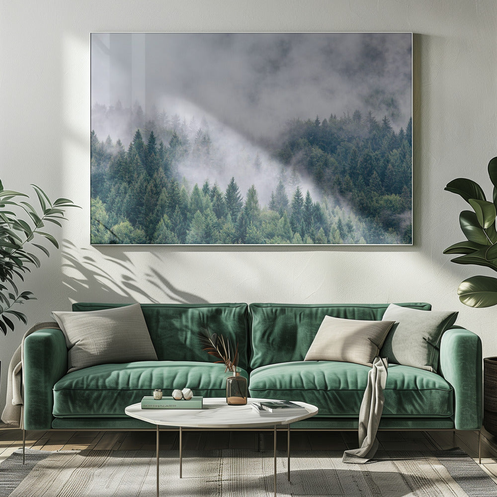 Petricore | Stampe su Tela