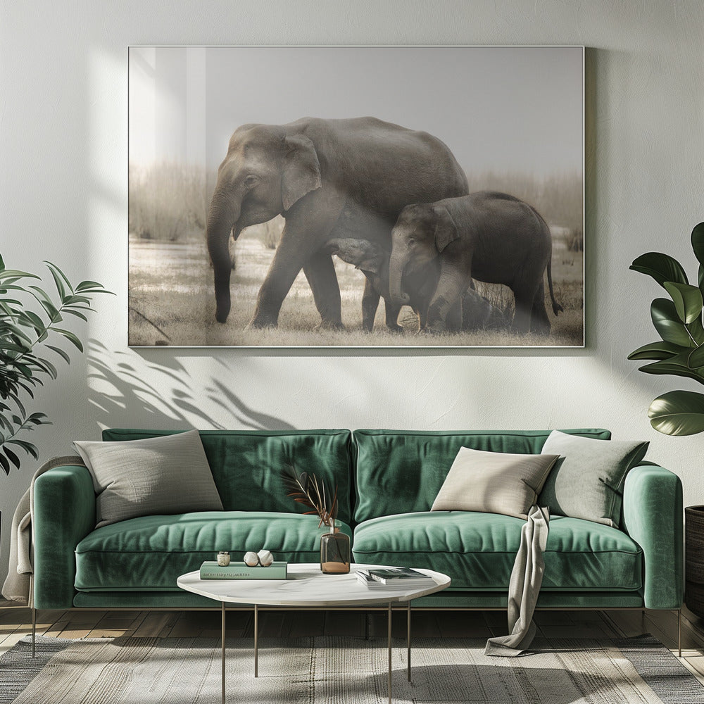 perhepotretti | Canvastaulut