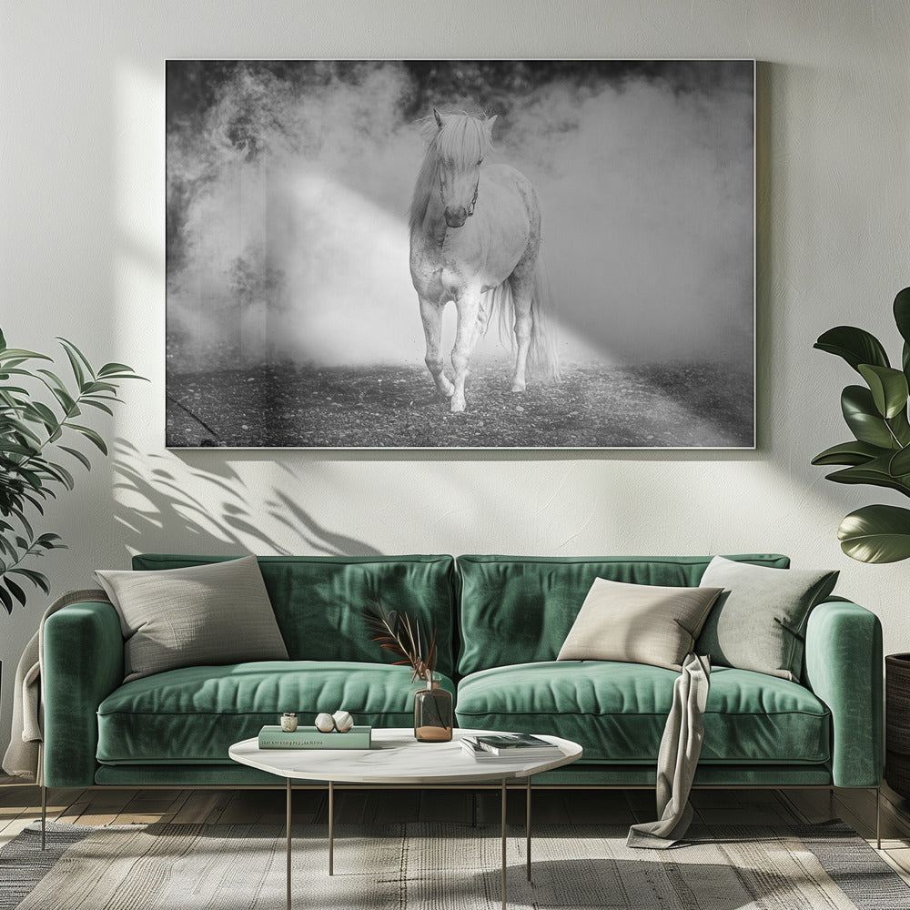 Icelandic pony | Canvas