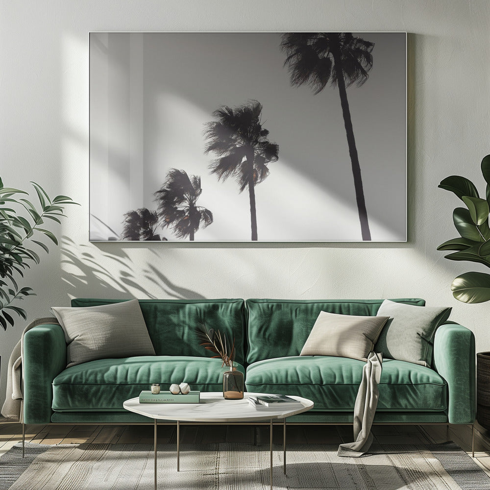 Palma_004 | Impresiones en Lienzo