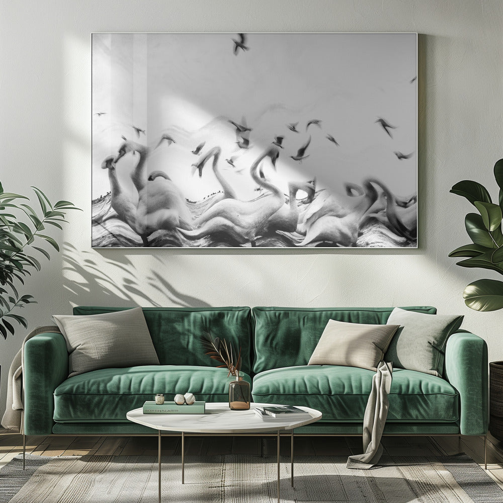 Olas de cisnes | Impresiones en Lienzo