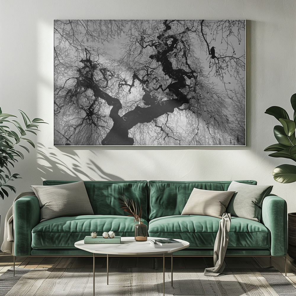 Si en un día de invierno | Impresiones en Lienzo