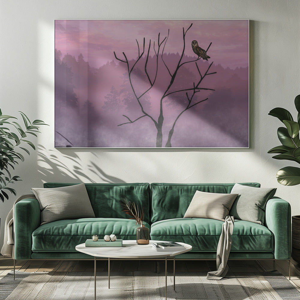 Rosa Himmel am Morgen | Leinwand-Bilder