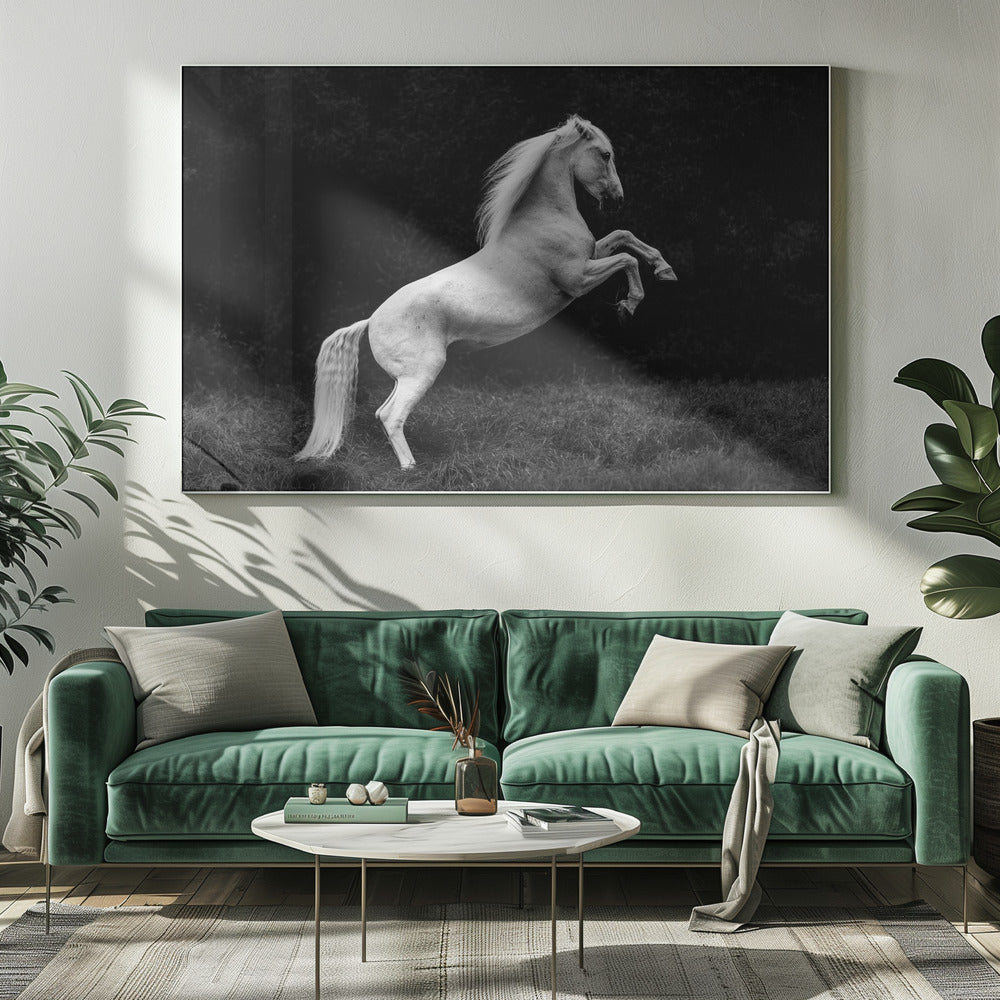 una historia corta de una brizna de hierba en un casco | Impresiones en Lienzo