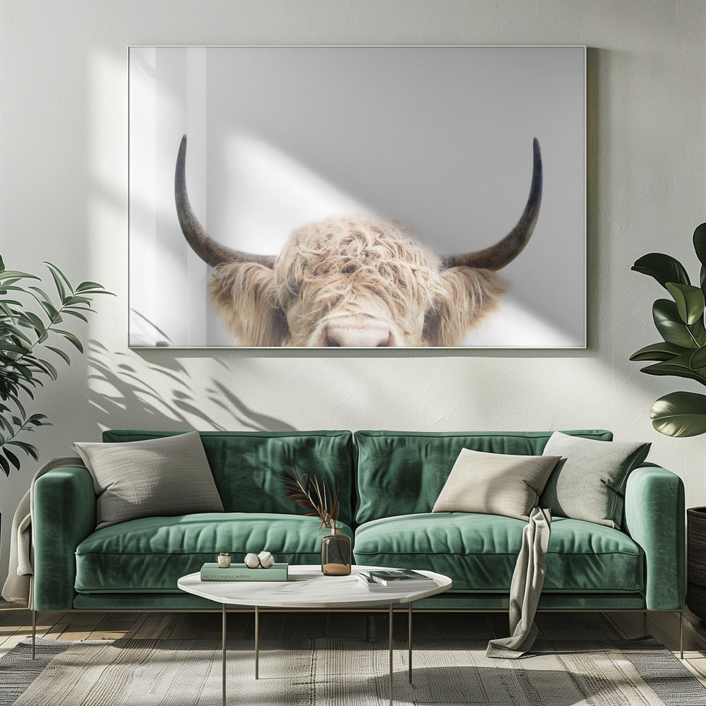 Guckende Kuh | Leinwand-Bilder
