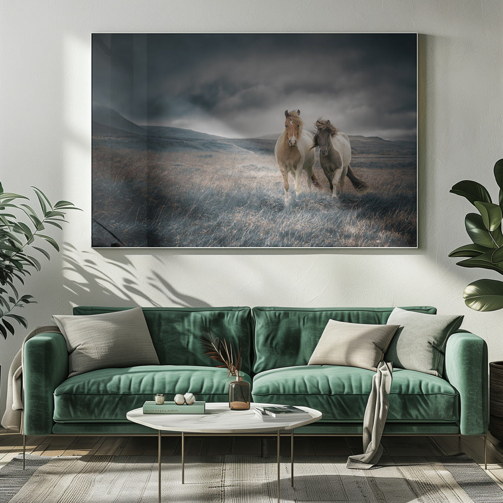 Die Brüder | Leinwand-Bilder
