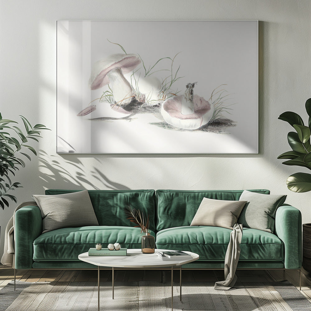 Ręcznie rysowany grzyb polny | Wydruki na łótnie