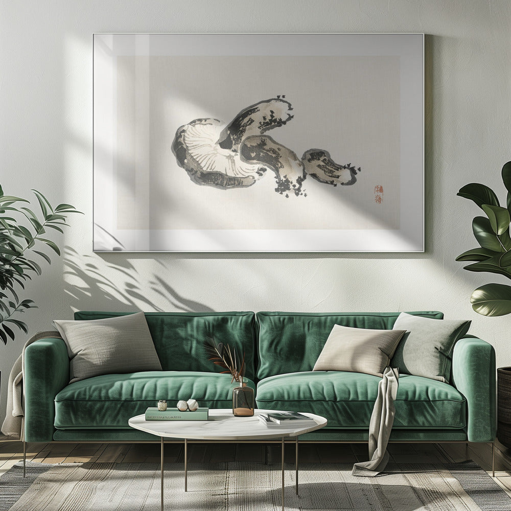 Grzyb Shiitake | Wydruki na łótnie