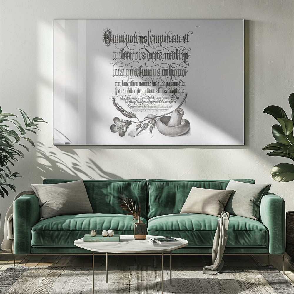 Centipede, Wood Cranesbill, and Mushroom Bw Horizontal | Canvas