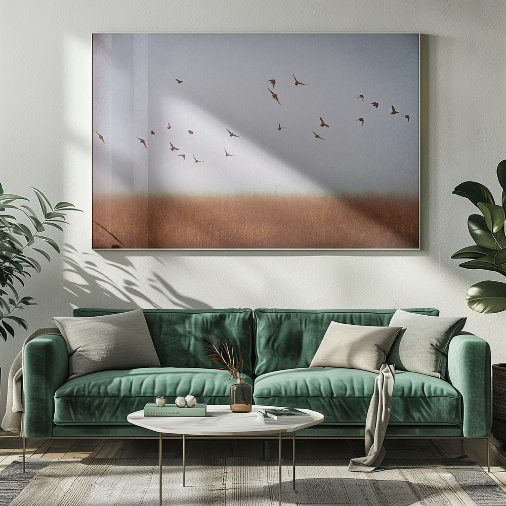 libertad | Impresiones en Lienzo