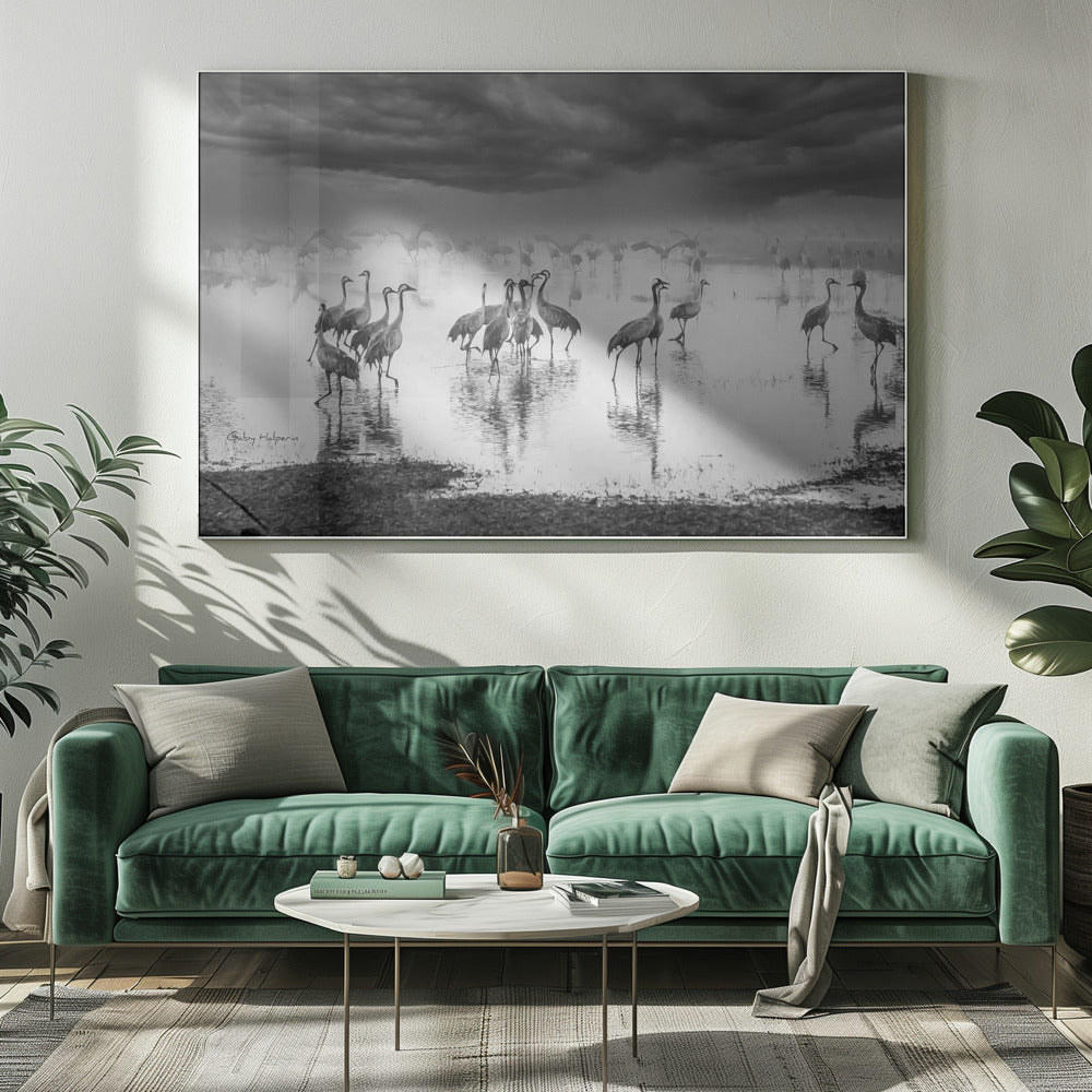 Wschód słońca nad jeziorem | Wydruki na łótnie