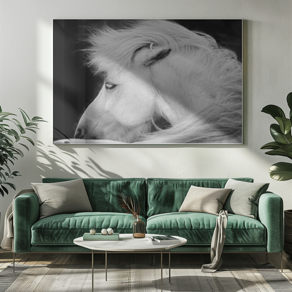 Höre dem Wind | Leinwand-Bilder